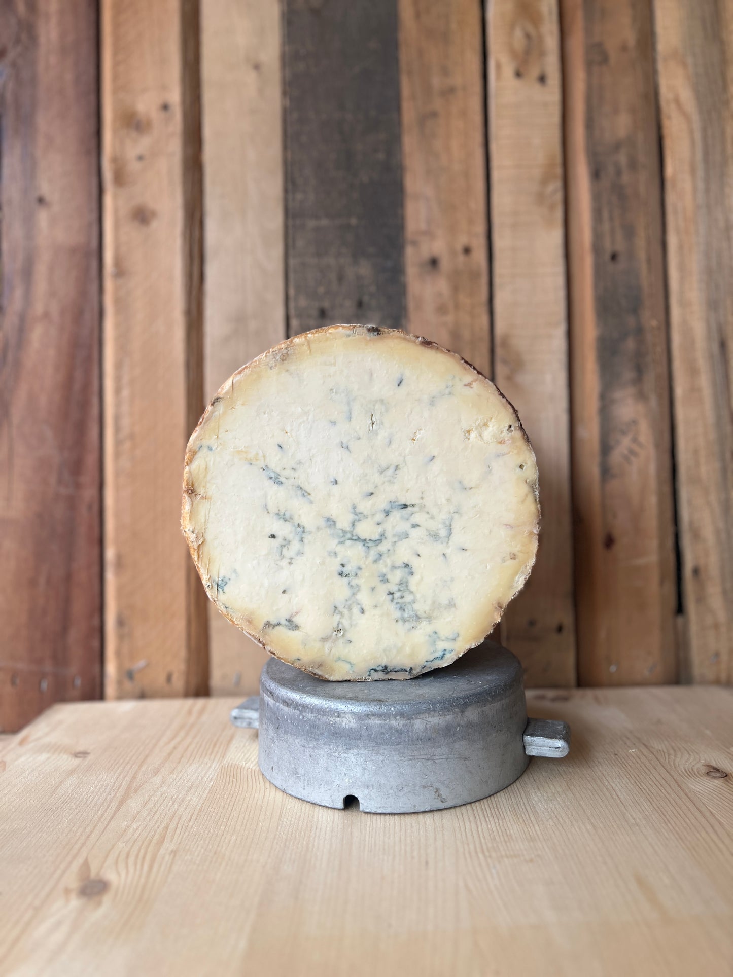 Young Buck Irish Blue Cheese